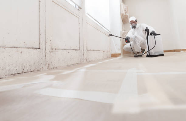 24/7 Emergency Black Mold Removal experts in Rockton, PA